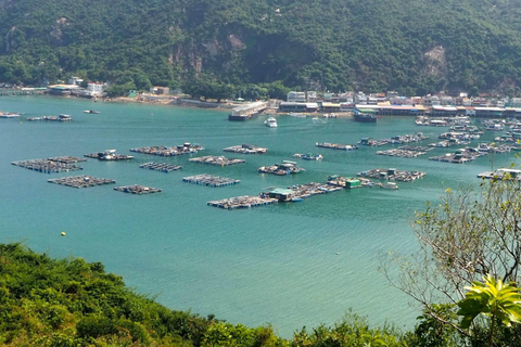 Hong Kong: Tour a pie por la isla de Lamma con almuerzo