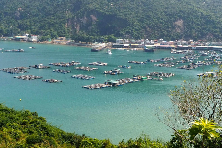 Hongkong: Vandringstur till ön Lamma med lunch