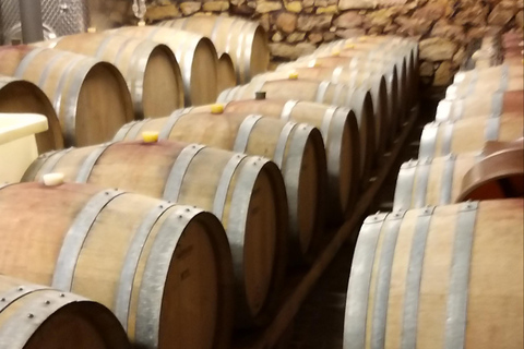 Tour di degustazione dei vini dell&#039;Alsazia