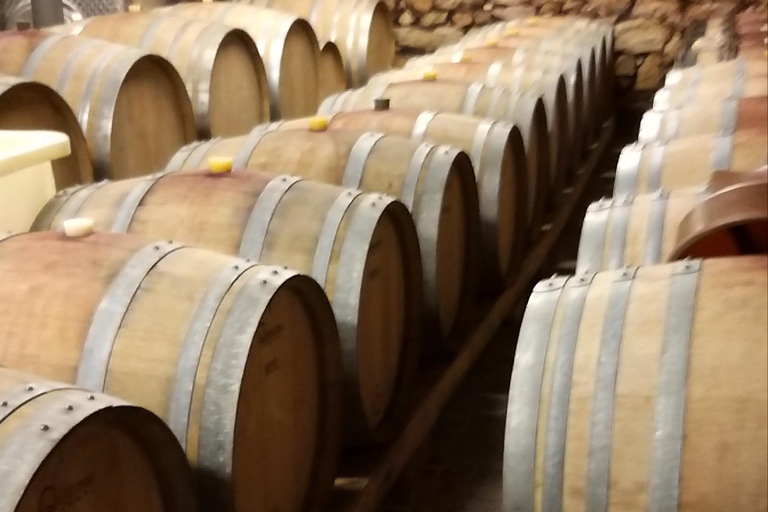 Tour de degustação de vinhos da Alsácia