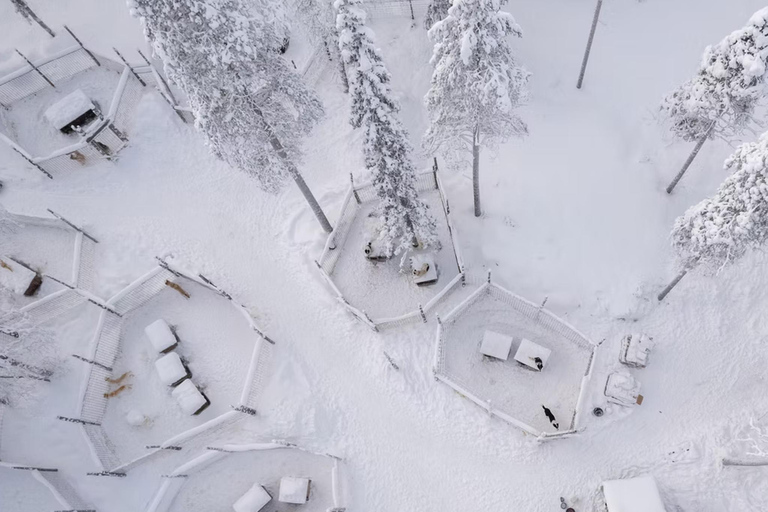 Rovaniemi: Meet Vasco Husky & Enjoy Sled Ride at Husky Farm ⭐ Winter Husky Adventure with Vasco | Jan 1 – Mar 31