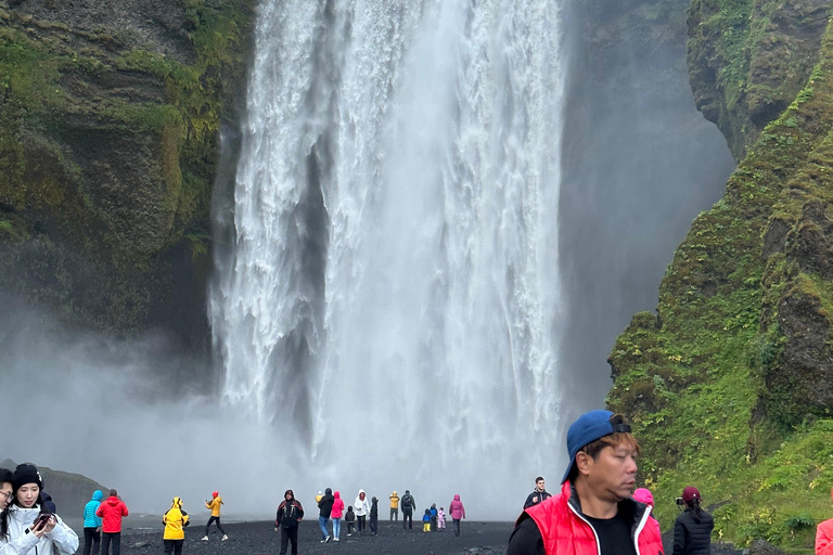 South Coast Private Tour, Waterfalls & Black Sand Beach Reykjavik: South Coast Private Tour with Waterfalls