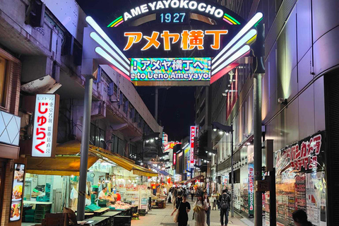 Private guided tour of Tokyo and surrounding area with English-speaking guide