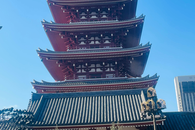 Tokyo Private Luxury City Tour with Professional Guide