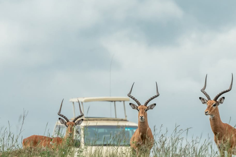 Nairobi: parco nazionale, centro giraffe e tour sui tettiViaggiatore solitario
