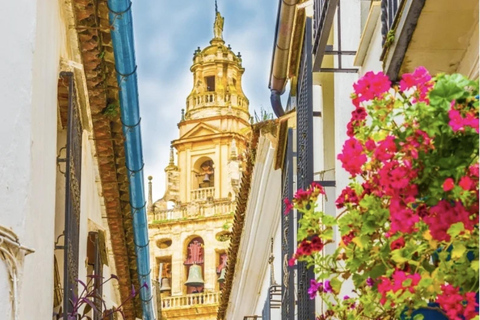 Cordoba: Tapas Bars and Wine Walking Tour