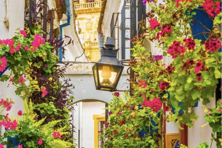 Cordoba: Tapas Bars and Wine Walking Tour
