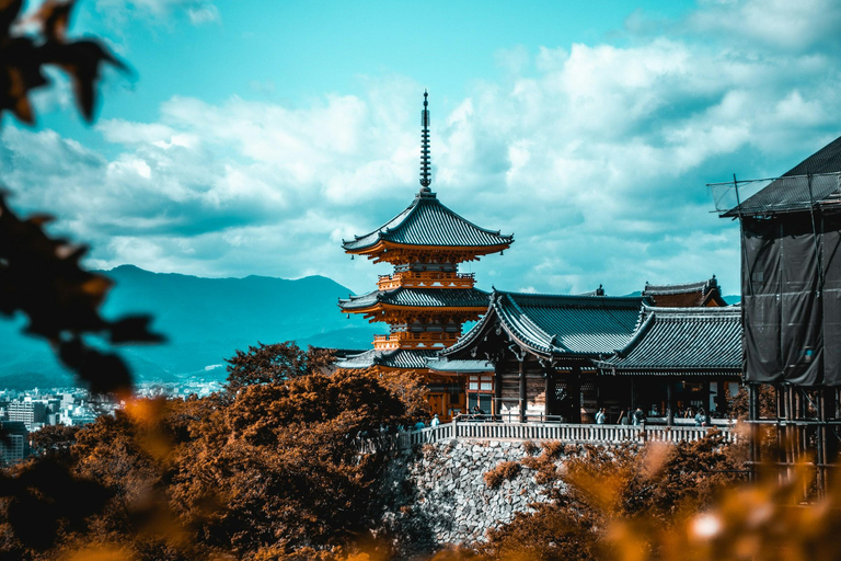 Tour privato di Kyoto, Nara e Osaka con autista parlante ingleseTour privato di Kyoto, Nara e Osaka con autista in inglese