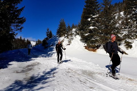 Kraków: Tatra Mountains Guided Hike with Hotel Pickup Tatra Mountains Guided Hike with Hotel Pickup