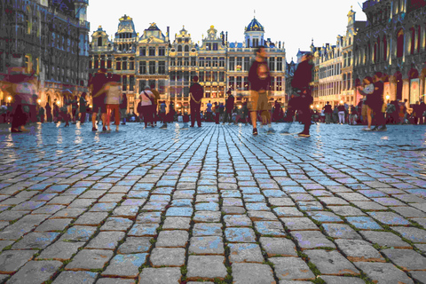 From Brussels: Brussels Tour with Waterloo and Atomium Stop