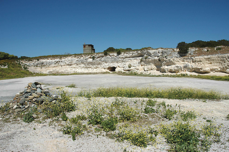 Cape Town: Robben Island Museum Ferry & Guided Tour Robben Island Museum Ferry & Guided Tour – International