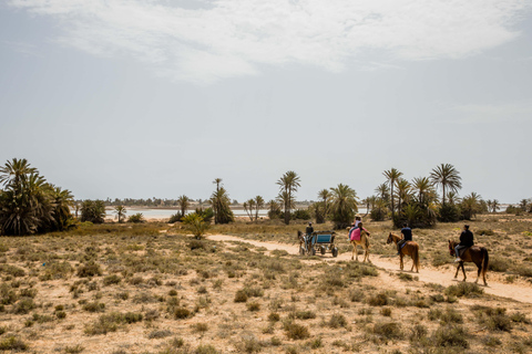 Blaue Lagune 2H Kutschfahrt in DjerbaTraditionelle Pferdekutschenfahrt in Djerba
