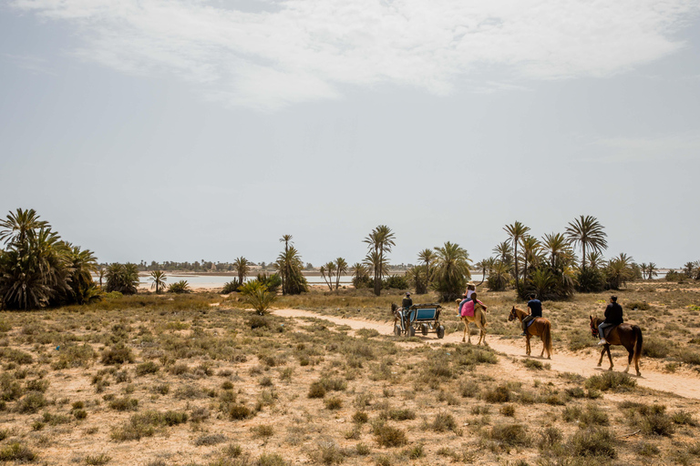 Blaue Lagune 2H Kutschfahrt in DjerbaTraditionelle Pferdekutschenfahrt in Djerba
