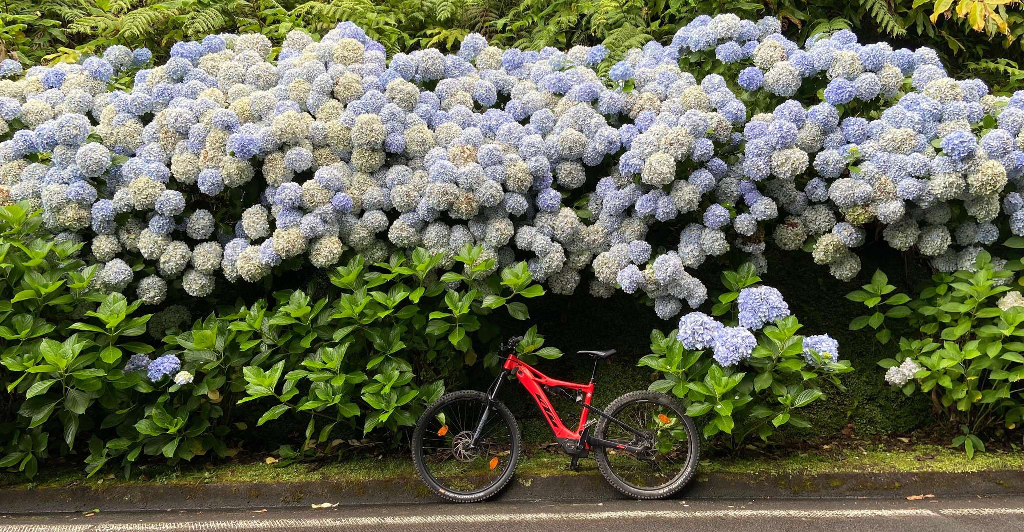 Sete Cidades, E-Bike Rental with GPS and Map Tour - Housity