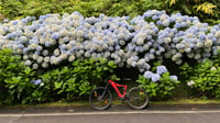 Sete Cidades, E-Bike Rental with GPS and Map Tour - Housity
