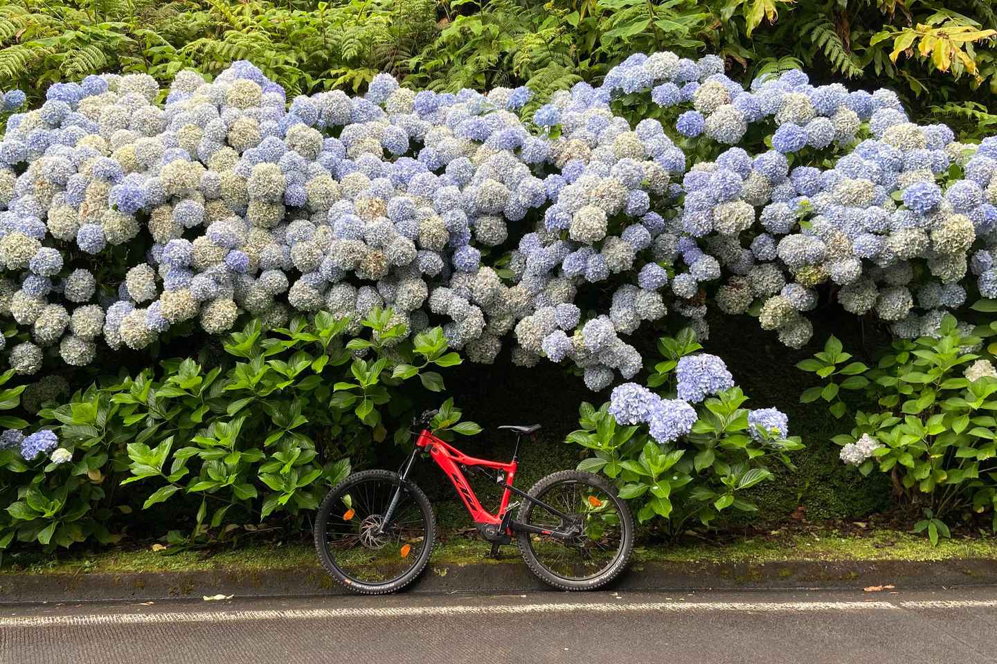 세테 시다데스: GPS 가이드 전기자전거 투어