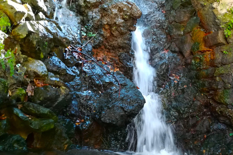 From Chania: Lake Kournas & Argiroupoli Springs Guided Tour
