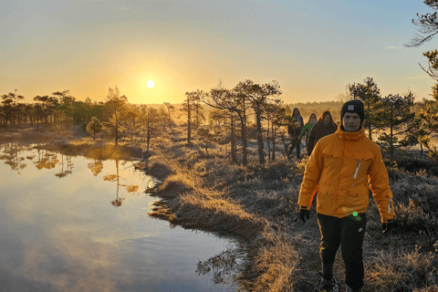 From Riga: Bog-Shoe Hiking Tour at Cenas or Ķemeri Bog