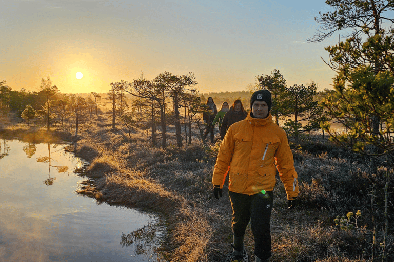 From Riga: Bog-Shoe Hiking Tour at Cenas or Ķemeri Bog