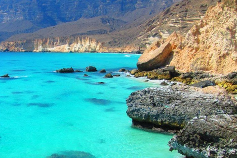 Salalah: Shaat Cliffs & Fazayah Beach Nature Private Tour