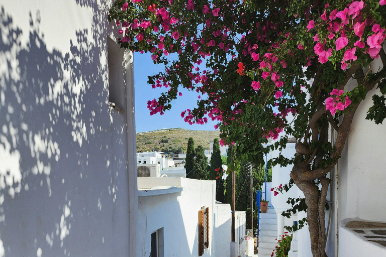 Antiparos Half-Day Tour: Cave, Beach & Old Town