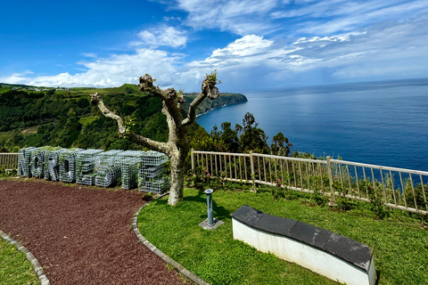 Avventura privata in jeep 4x4 a São Miguel - Tour personalizzato