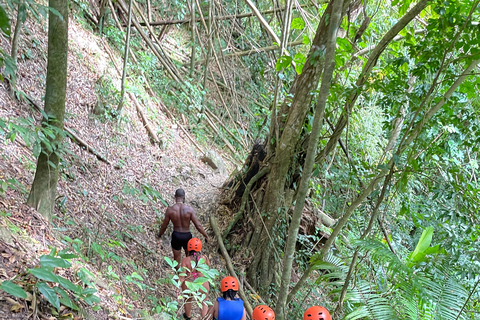 Tobago: Argyle Waterfall Adventure