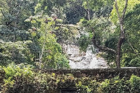 Caves and Waterfalls of Tijuca Forest - by Alan Denis