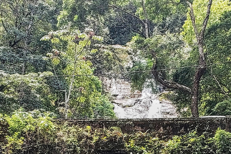 Caves and Waterfalls of Tijuca Forest - by Alan Denis