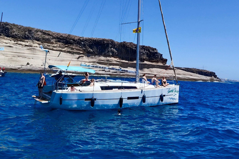 Boat Trip: Dolphin & Whale Watching Sailing Tour 11 Pax Max Boat Trip: Dolphin & Whale Watching Sailing Tour 11 Pax Max