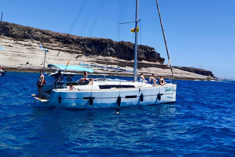 Boat Trip: Dolphin & Whale Watching Sailing Tour 11 Pax Max Boat Trip: Dolphin & Whale Watching Sailing Tour 11 Pax Max