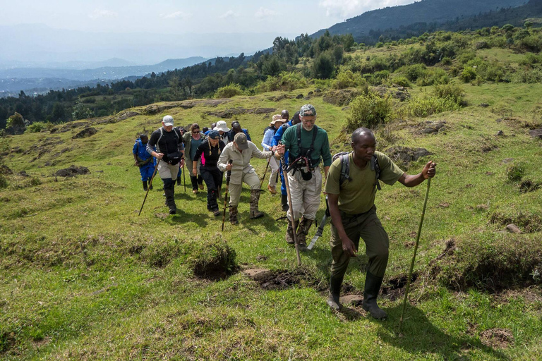 1-daags wandelavontuur in Mount Bisoke