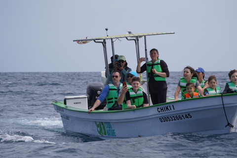 Cabo: Whale-Whatching Boat Trip w/ All-Women Crew and Photos