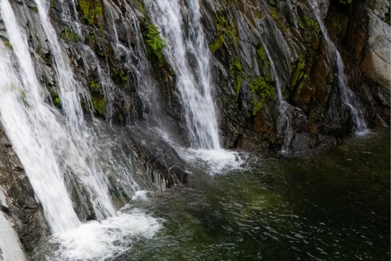 Santa Marta: Horseback Riding to the Valencia Waterfalls in Tayrona National Park
