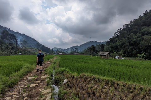Bandung Countryside Tour: Waterfall, Rice Fields &amp; Culture