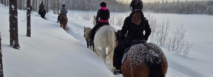 Rovaniemi : balade à cheval en hiver sur les collines enneigées et dans les forêts
