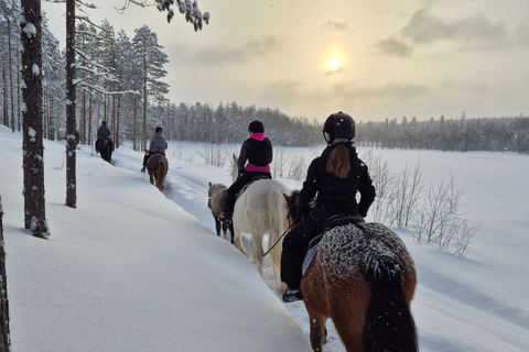 Rovaniemi: Winter Horseback Ride on Snowy Hills and Forests Winter Horseback Ride through the hills + transfer