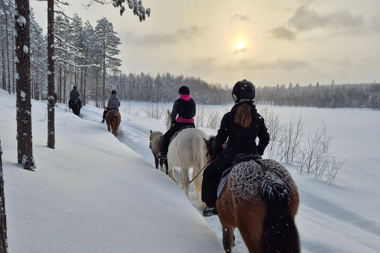 Rovaniemi: Winter Horseback Ride on Snowy Hills and Forests Winter Horseback Ride through the hills + transfer