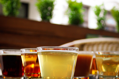 Riga: 14 Beers Tasting Experience - Aussie Backpackers Bar