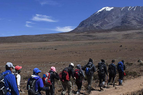 Aventure 8 jours d&#039;expédition sur le Kilimandjaro et la source d&#039;eau chaude de Chemka