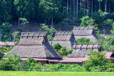 De Osaka: Ine Bay, Amanohashidate, Miyama Village Tour de 1 dia