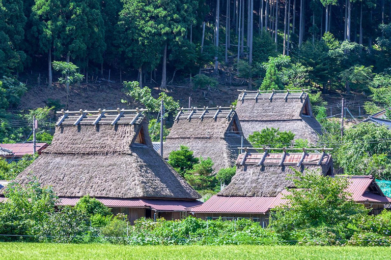 Tour de día completo por Kioto: Pueblo de Miyama, Amanohashidate y la Bahía de Ine