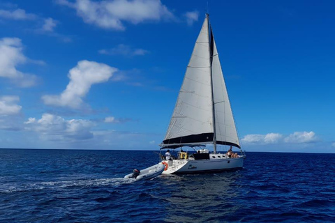 SunDowner DaySails intorno a St Maarten