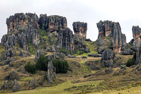 Cajamarca: Kompleks archeologiczny Cumbemayo + opłata za wstęp