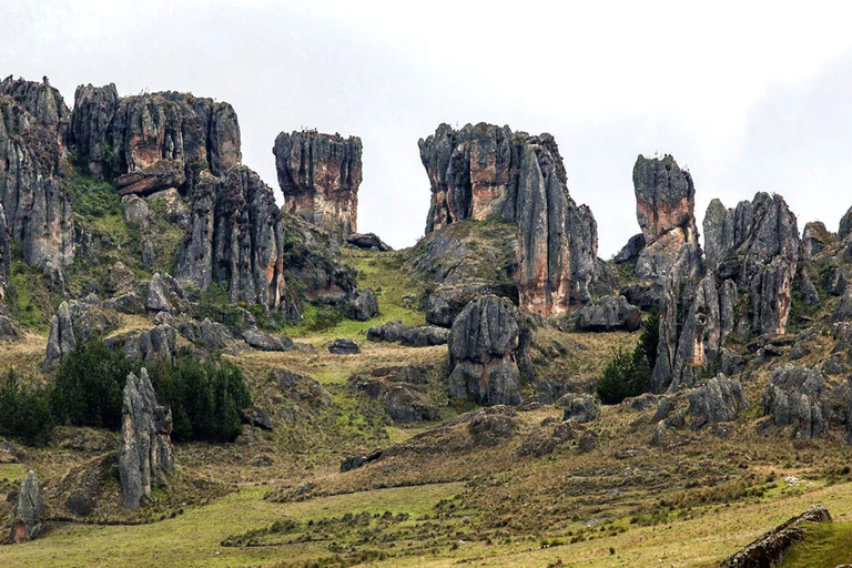 Cajamarca : Complexe archéologique de Cumbemayo + droit d&#039;entrée