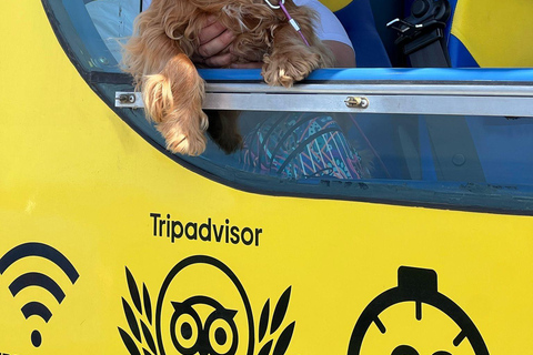 جولة "هوب أون هوب أوف" الصفراء المكشوفة: شاهد مدينة دوبروفنيك في 90 دقيقة