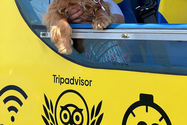 جولة "هوب أون هوب أوف" الصفراء المكشوفة: شاهد مدينة دوبروفنيك في 90 دقيقة