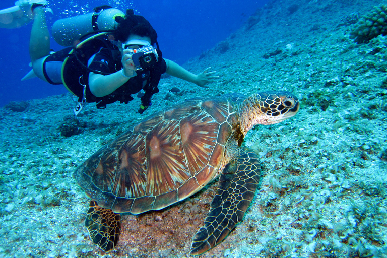 DSD Discover Scuba Diving dla początkujących lub certyfikowanych