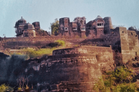 Jaipur: Same Day Jhalana Amagarh Leopard Safari Tour