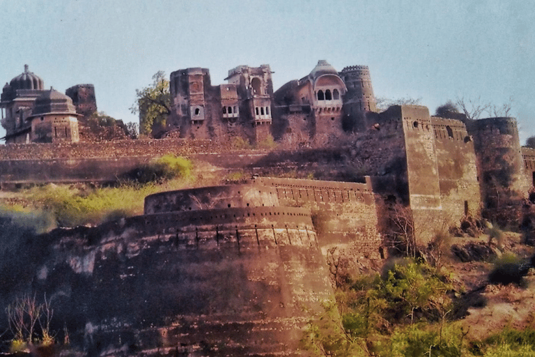 Jaipur: Same Day Jhalana Amagarh Leopard Safari Tour